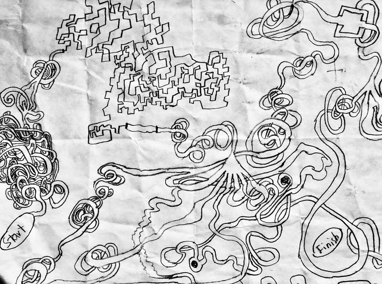 The Maze